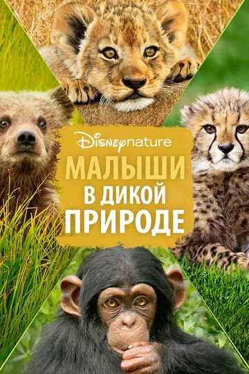 Малыши в дикой природе Малыши в дикой природе