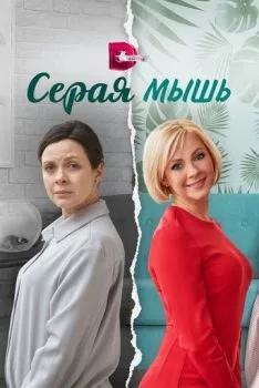 Серая мышь Серая мышь