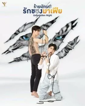 Незабываемая ночь Незабываемая ночь