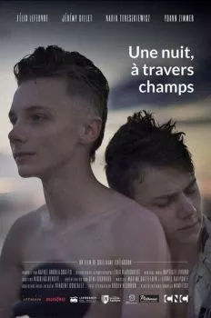 Однажды ночью через поля