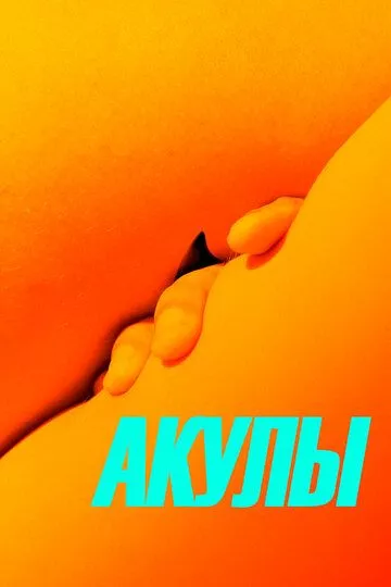 Акулы Акулы