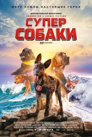Суперсобаки Суперсобаки