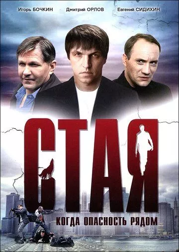 Стая Стая