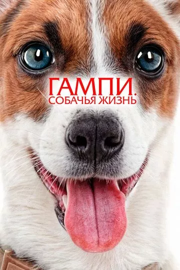Гампи. Собачья жизнь Гампи. Собачья жизнь